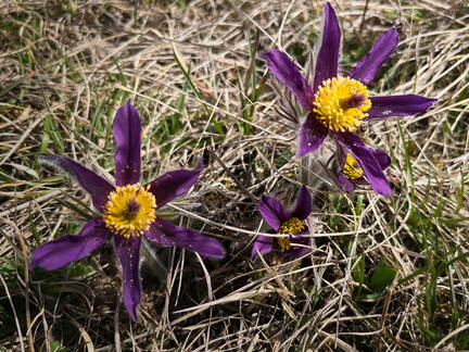 25-03-21 12-22-00 2485